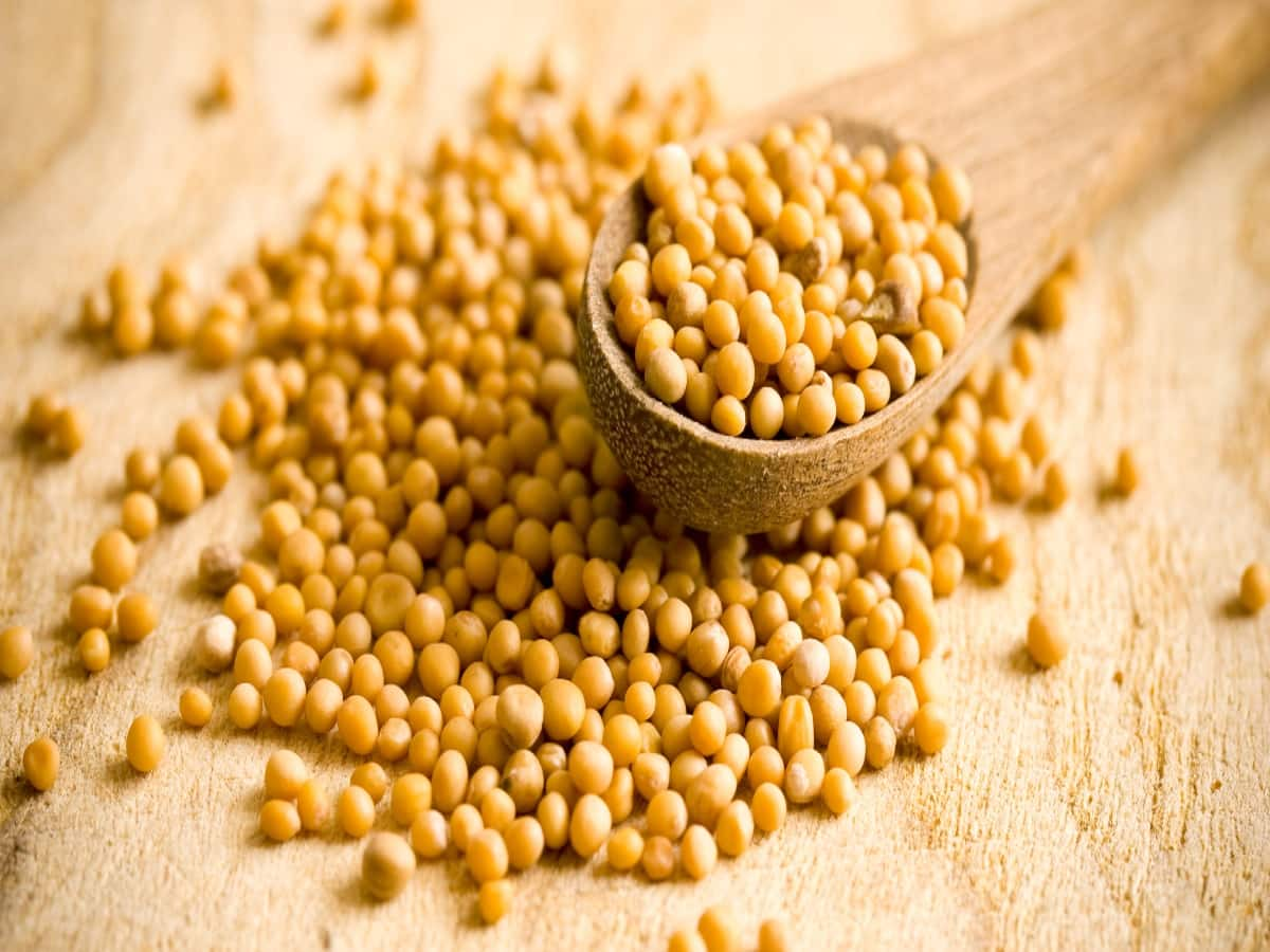 Mustard Seeds Health Benefits Uses Side Effects And More