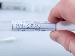 Omicron Accounts For Almost All New Covid Cases In US: How It Escapes From Antibodies