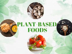 Plant-Based Diet: Amp Up Your Nutrition Game With THESE Healthy Foods