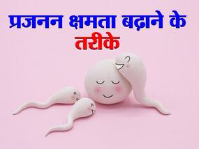 Tips to Boost Fertility in hindi : प्रजनन क्षमता बढ़ाने के लिए कैसी होनी चाहिए डाइट? एक्सपर्ट के सुझाए ये आसान टिप्स क्षमता बढ़ाने में करेंगे आपकी मदद