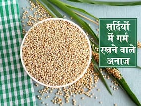 सर्दियों में ये 3 अनाज का सेवन बढ़ाएगा शरीर की रोग प्रतिरोधक क्षमता, जानें कौन सा अनाज देगा सबसे ज्यादा फायदा