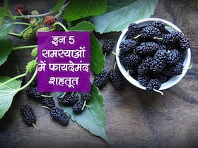 बैंगनी रंग का ये छोटा सा फल देता है शरीर को 5 जबरदस्त फायदे, चौथा फायदा डायबिटीज रोगियों के लिए
