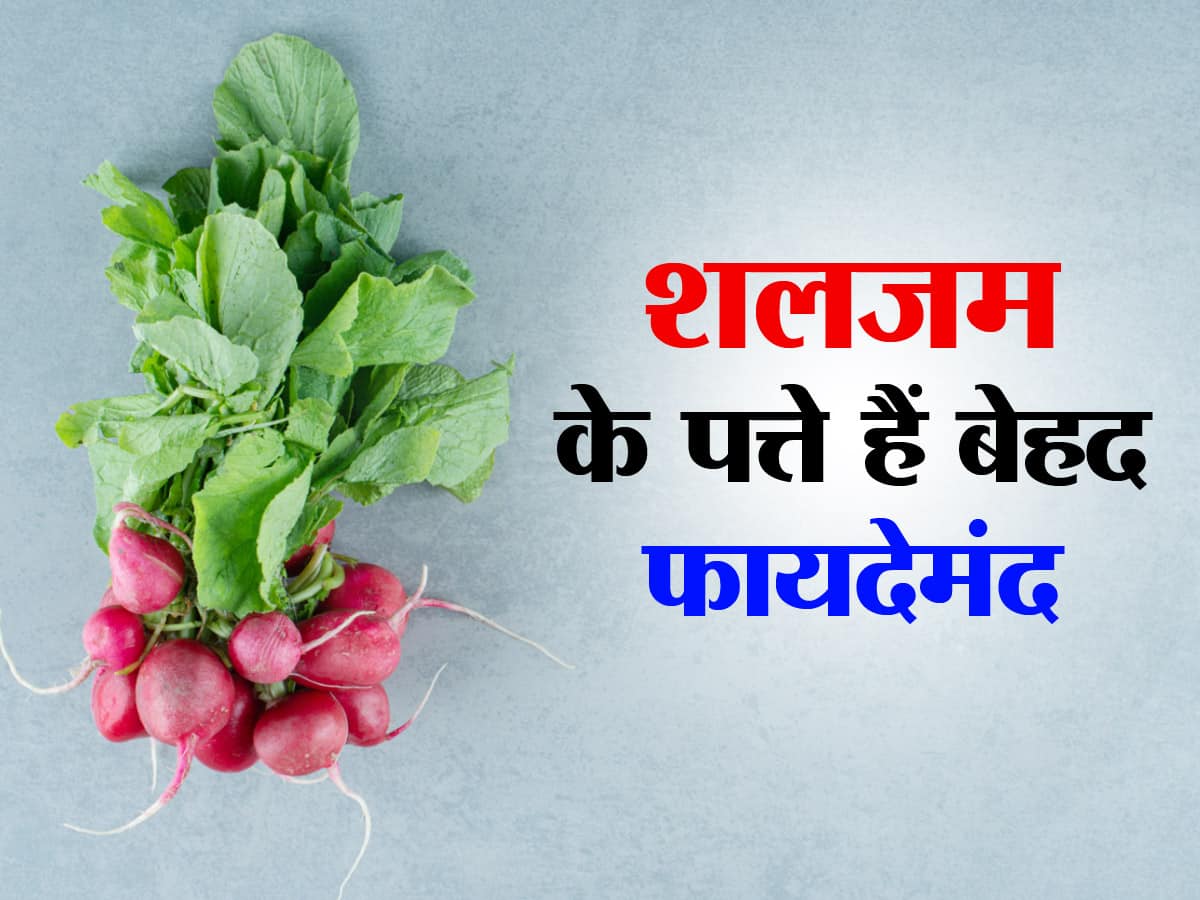 बहुत फायदेमंद है शलजम के पत्ते, डाइट में करें इस तरह से शामिल, इन रोगों