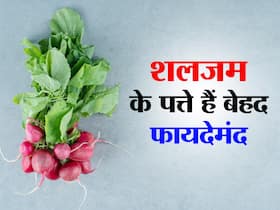 बहुत फायदेमंद है शलजम के पत्ते, डाइट में करें इस तरह से शामिल, इन रोगों से होगा बचाव बहुत फायदेमंद है शलजम के पत्ते, डाइट में करें इस तरह से शामिल, इन रोगों से होगा बचाव