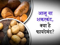 Potato vs Sweet Potato: आलू या शकरकंद, जानिए क्या है सेहत के लिए ज्यादा फायदेमंद