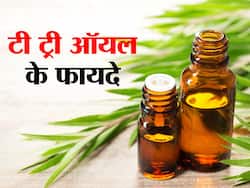 Tea tree oil Benefits and Uses- टी ट्री ऑयल के फायदे, औषधीय गुण, लाभ और नुकसान