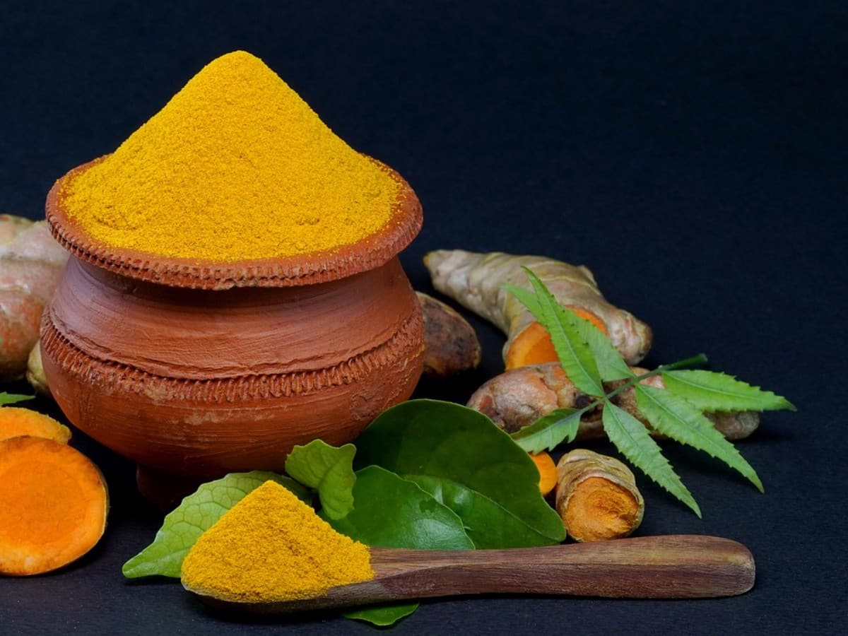 Turmeric in Hindi हल्दी के फायदे, औषधीय गुण, लाभ और नुकसान