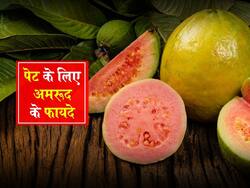 पेट के कीड़ों से लेकर मुंह की बदबू दूर करने तक इन समस्याओं में फायदेमंद है ये हरा फल! जानें किन बीमारियों में खाना है सही