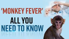Explained: Kerala's 24 Year Old Man Infected With Monkey Virus, Know It's Causes, Symptoms, Risks And How Dangerous It Can Be