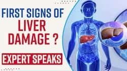 What Are First Signs Of Liver Damage And Available Treatments, Explained By Expert - Watch Video