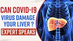 Can Covid-19 Affect Liver? How To Keep It In A Healthy Shape? Explained By Expert