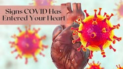 Coronavirus Can Block Coronary Artery, Form Fatal Blood Clots: Signs COVID Has Entered Your Heart