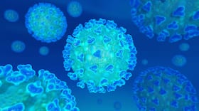Antibody FuG1 Can Directly Interfere And Block COVID-19 Virus Transmission In Cells: Study