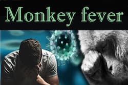 Monkey Fever Hits Kerala As COVID Wave Subsides, Authorities Urge People To Stay Alert: Symptoms, Risk Factors To Know