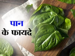 Betel leaf Benefits and Uses- पान के पत्ते के फायदे, औषधीय गुण, लाभ और नुकसान