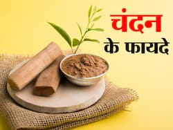 Sandalwood Benefits and Uses- चंदन के फायदे, औषधीय गुण, लाभ और नुकसान