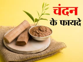 Sandalwood Benefits and Uses- चंदन के फायदे, औषधीय गुण, लाभ और नुकसान