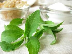 Is Stevia A Good Alternative For Sugar? Hear From The Experts Is Stevia A Good Alternative For Sugar? Hear From The Experts