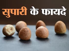 Betel nut Benefits and Uses- सुपारी के फायदे, औषधीय गुण, लाभ और नुकसान