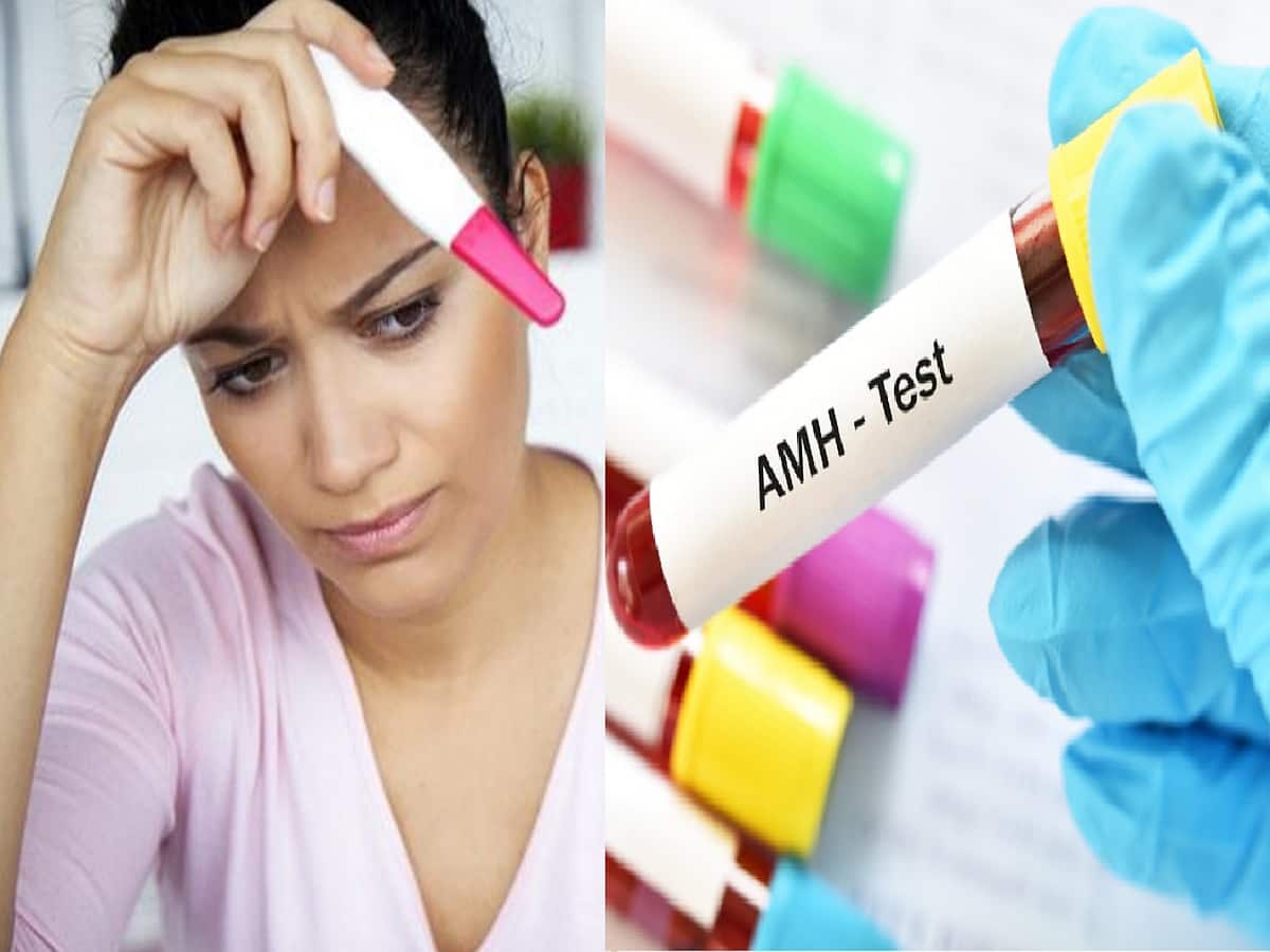 Anti-Mullerian Hormone Test: Women Who Are Not Able To Conceive Should ...