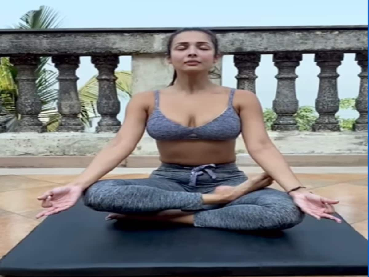 From Nora Fatehi To Malaika Arora: Hottest Poses In Yoga Pants For Fitness  Inspiration