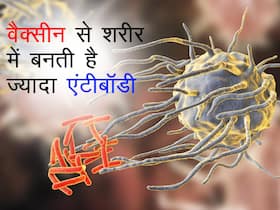 कोविड वैक्सीन, इंफेक्शन से ज्यादा पैदा करती है एंटी-बॉडीज! जानें किस वैक्सीन से ज्यादा बनती हैं एंटी-बॉडीज