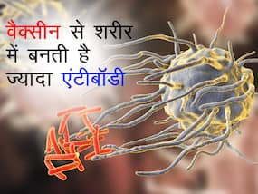 कोविड वैक्सीन, इंफेक्शन से ज्यादा पैदा करती है एंटी-बॉडीज! जानें किस वैक्सीन से ज्यादा बनती हैं एंटी-बॉडीज कोविड वैक्सीन, इंफेक्शन से ज्यादा पैदा करती है एंटी-बॉडीज! जानें किस वैक्सीन से ज्यादा बनती हैं एंटी-बॉडीज