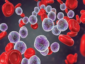 Prevalence Of Blood Cancer In India: Know Its Prevention And Management