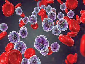 Prevalence Of Blood Cancer In India: Know Its Prevention And Management