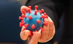 BA.2 Omicron Subvariant Can Damage Your Lungs, Cause More Severe Disease Than You Can Expect: Study