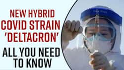 New Hybrid Covid-19 Strain Deltacron Found In UK, Know What It Is And Should We Worry About It Or Not - Watch