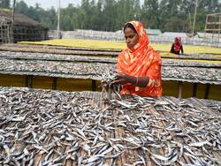 Hypertension Diet: Dried Fish Is Not A Great Option For People With High Blood Pressure
