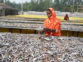 Hypertension Diet: Dried Fish Is Not A Great Option For People With High Blood Pressure