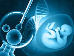 क्या मोटे लोगों में आईवीएफ सक्सेस नहीं होता? जानिए IVF से जुड़े मिथ और फैक्ट्स