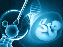 क्या मोटे लोगों में आईवीएफ सक्सेस नहीं होता? जानिए IVF से जुड़े मिथ और फैक्ट्स