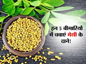 सब्जी से लेकर पराठे में यूज होने वाले मेथी दाने देते हैं शरीर को ये 5 जबरदस्त फायदे, आयुर्वेदा एक्सपर्ट से जानिए कैसे करें सेवन