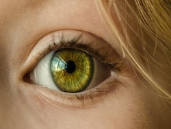 A Healthy Retina Could Be Indicative Of How Healthy Your Brain Is