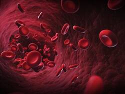 न्यूयॉर्क में गटर के पानी में मिले कोविड के 4 सीक्रेट वेरिएंट्स, वैज्ञानिकों का अनुमान, चूहों से फैल रहा है वायरस