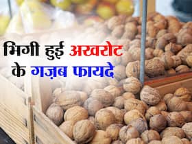 भिगी हुई अखरोट की गिरी दिन में इस वक्त खाना होता है सबसे ज्यादा फायदेमंद! मिलते हैं ये गजब के फायदे भिगी हुई अखरोट की गिरी दिन में इस वक्त खाना होता है सबसे ज्यादा फायदेमंद! मिलते हैं ये गजब के फायदे