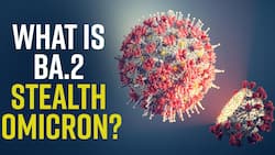 Stealth Omicron: Sore Throat, Fatigue And Other Common Symptoms You Should Not Miss, Here's All You Need To Know - Watch