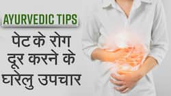 Ayurvedic Remedies: यदि आपको भी है पेट की समस्या तो इन जड़ी बूटियों का करें इस्तेमाल-WATCH