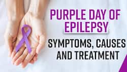 Purple Day For Epilepsy 2022: Know What Epilepsy Is, It's Symptoms And Treatment, Explained By Expert - Watch