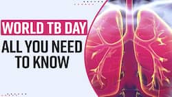 World TB Day 2022: What Are Early Signs, Symptoms And Treatment For Tuberculosis? Explained By Expert - Watch Video