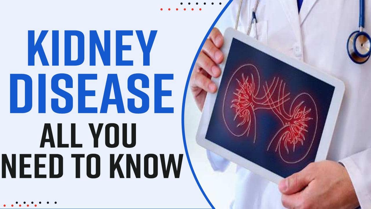 World Kidney Day 2022: Why Does A Kidney Disease Occur? Symptoms And 