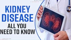 World Kidney Day 2022: Why Does A Kidney Disease Occur? Symptoms And Treatment, Explained By Expert - Watch Video