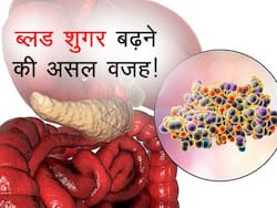 शरीर में इंसुलिन बढ़ने के पीछे छिपा है ये 1 बड़ा कारण, साइंस ने माना ज्यादातर डायबिटीज रोगी इस 1 कारण का शिकार