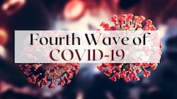 COVID-19 Live Updates: 'Completely Prepared', Says Government As Fourth Wave of COVID In India Predicted To Start In June