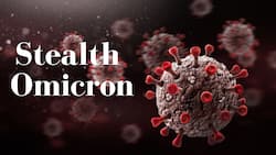 COVID-19 Live Updates: Stealth Omicron Spreading Rapidly In China, Should India Be Worried Too?