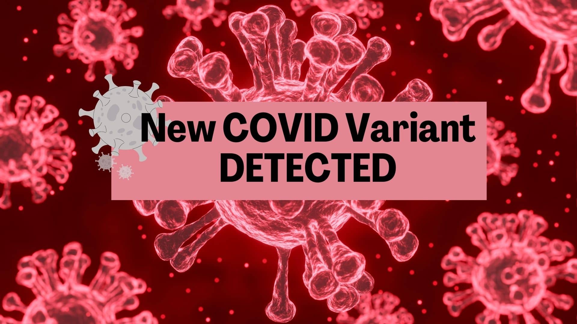 New COVID, flu strains: What updated shots target