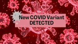 New COVID-19 Variant Detected In Israel: Muscle Pain, Headache And Other Symptoms Seen In Patients